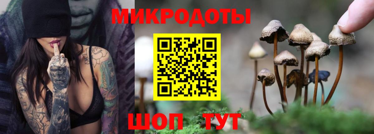 Псилоцибиновые грибы прущие грибы  Вход с VPN  Псилоцибиновые грибы мицелий  Сатка 